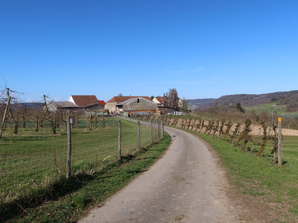 Lindhof