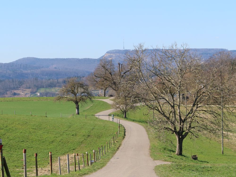 Bützberg und Geissberg