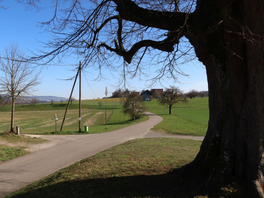 Blick Richtung Lindhof