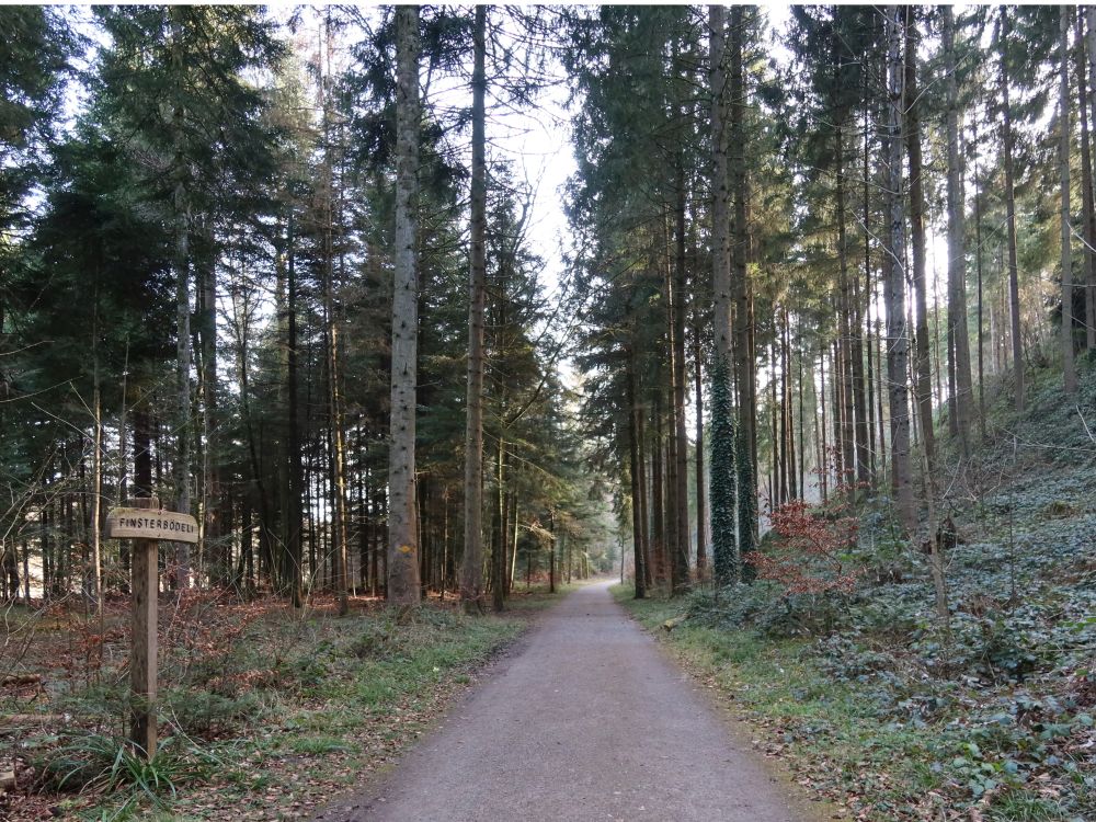 Finsterbödeli