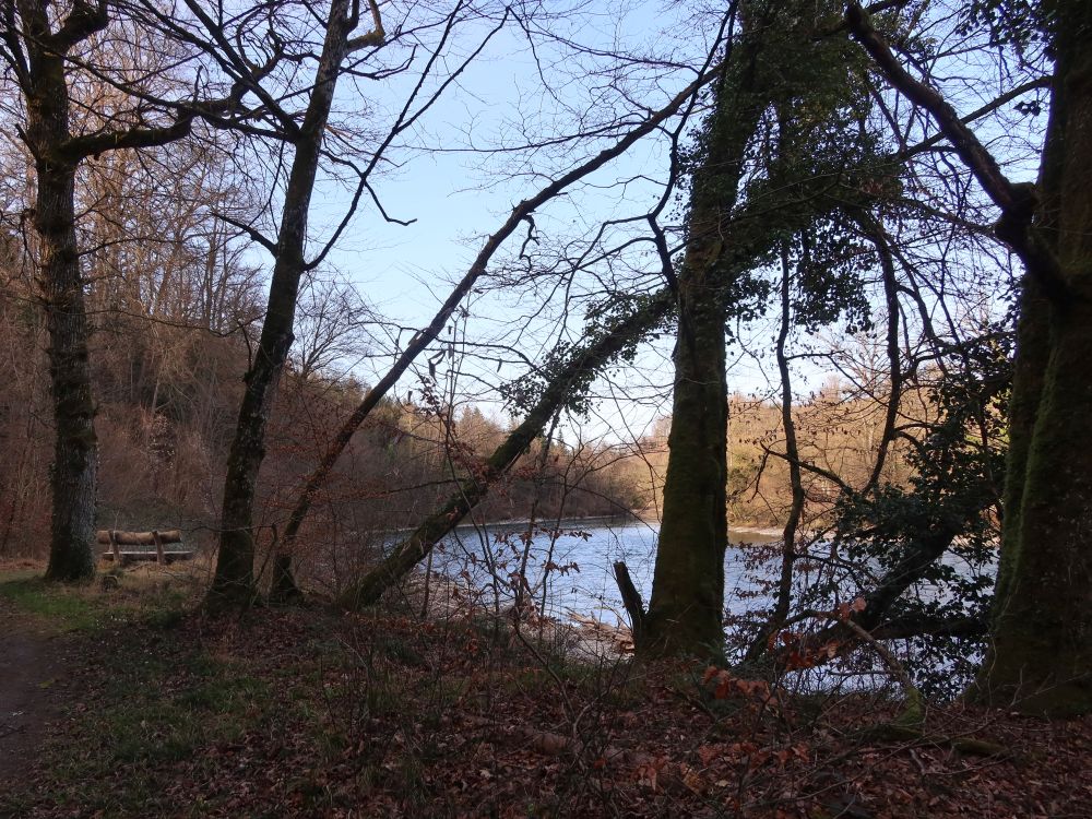 Reuss