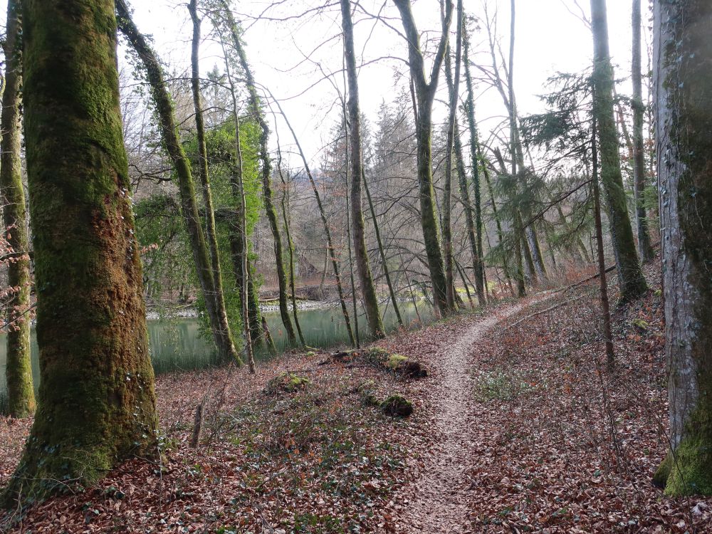 Pfad an der Reuss