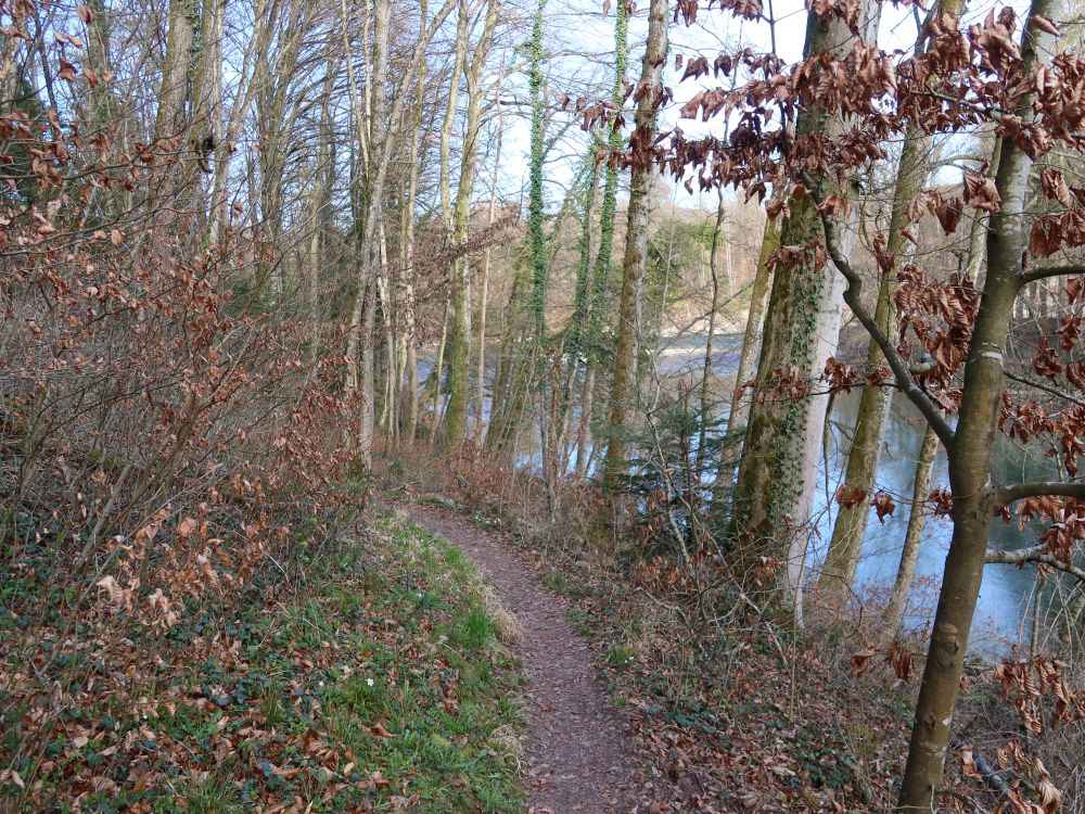Pfad an der Reuss
