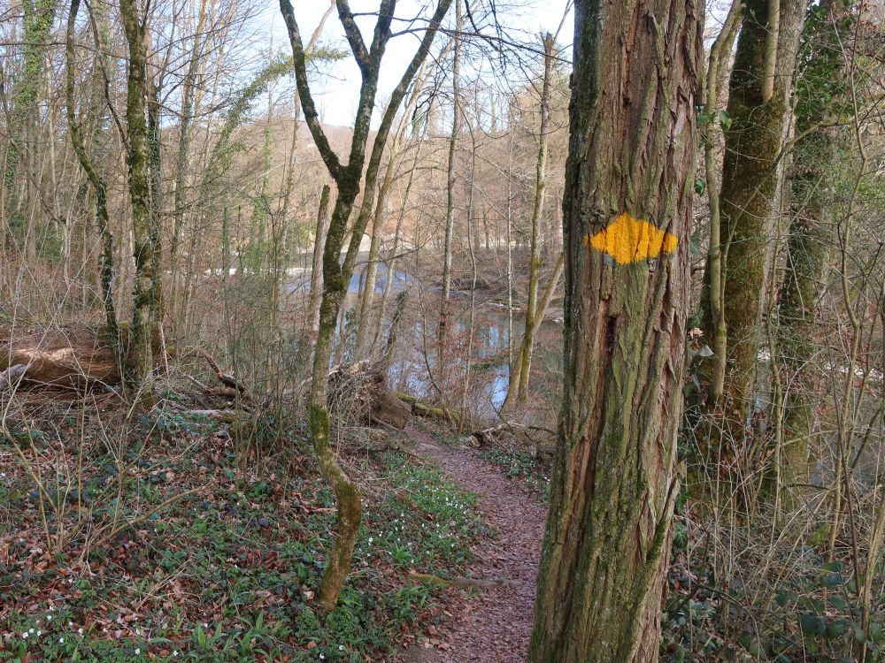 Pfad an der Reuss