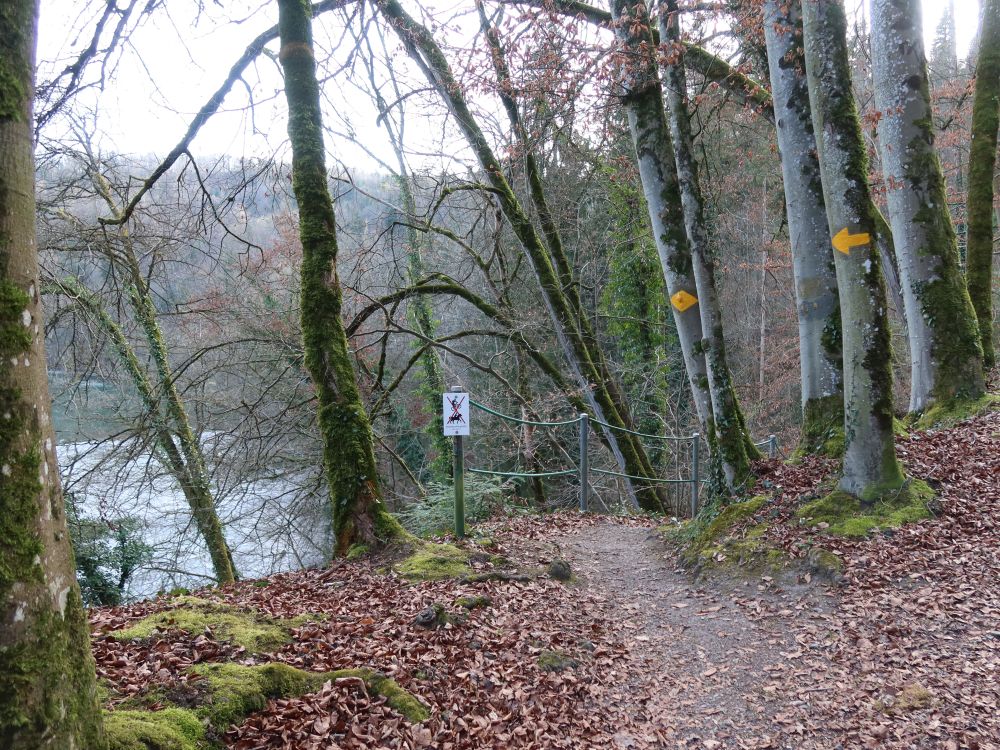 Pfad an der Reuss