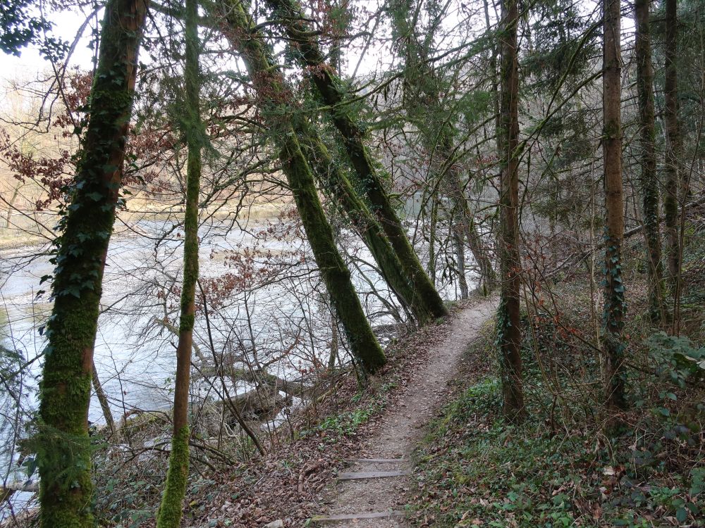 Pfad an der Reuss