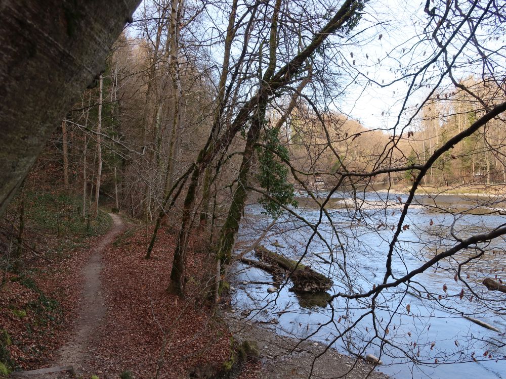 Pfad an der Reuss