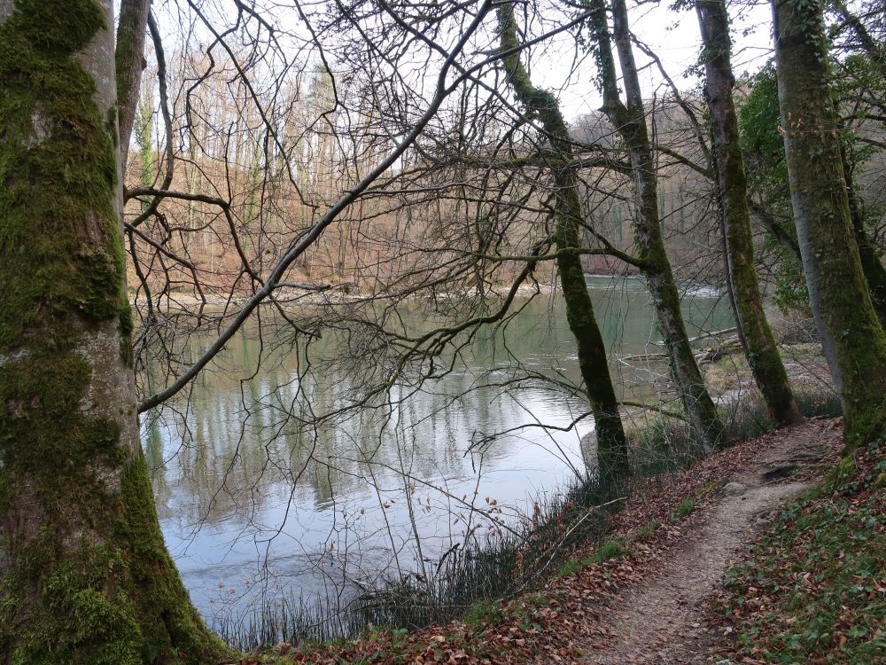 Pfad an der Reuss