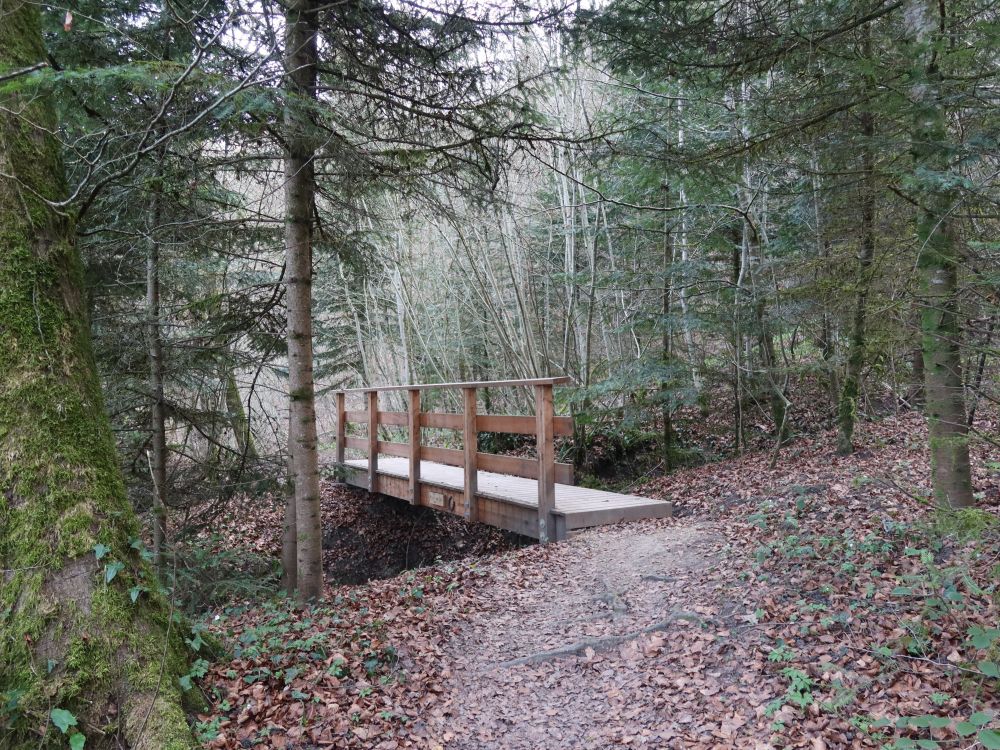 Holzsteg