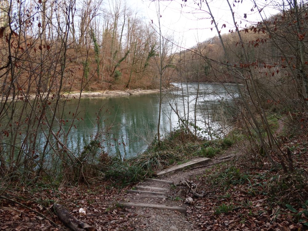 Pfad an der Reuss