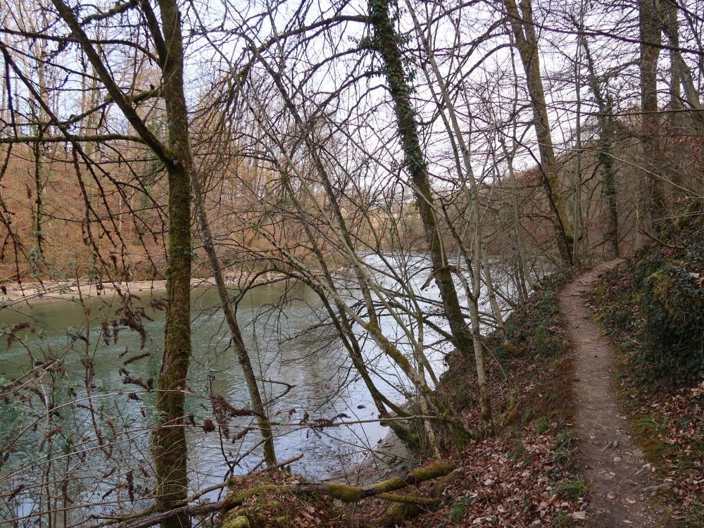 Pfad an der Reuss