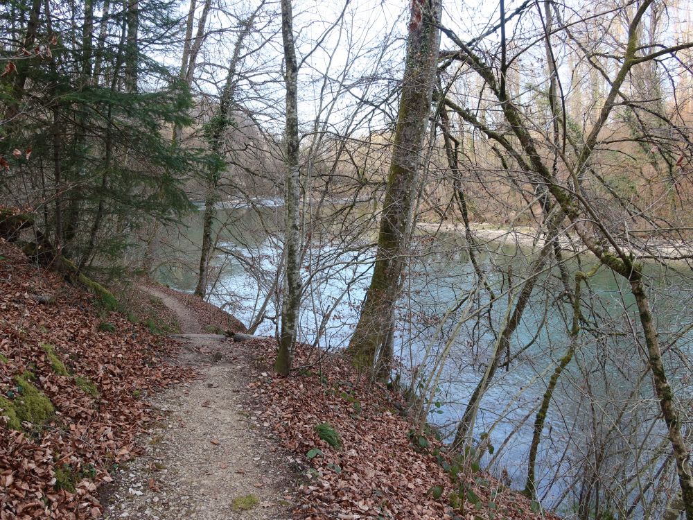 Pfad an der Reuss