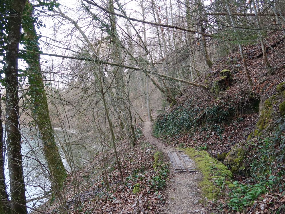 Pfad an der Reuss
