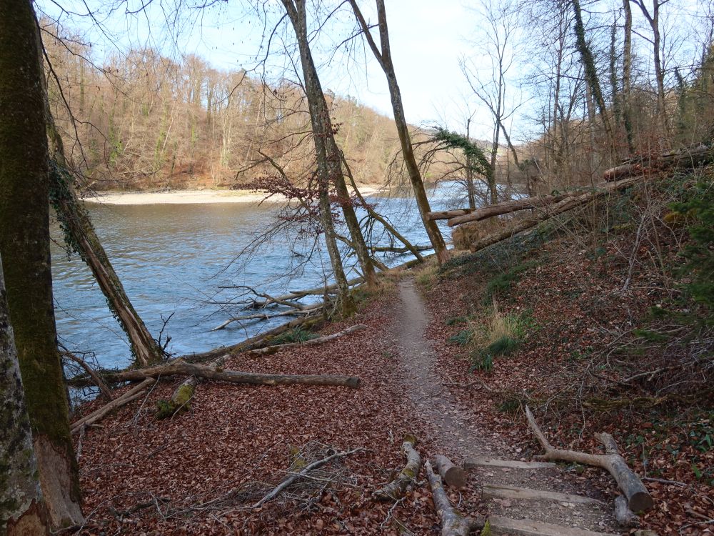 Pfad an der Reuss