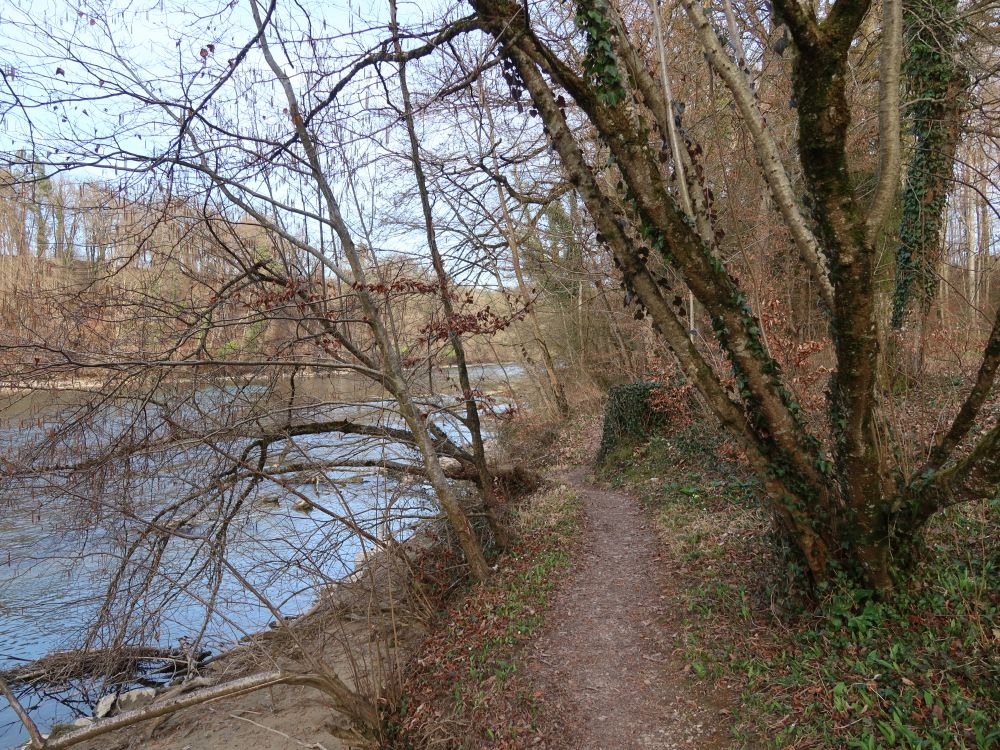 Pfad an der Reuss