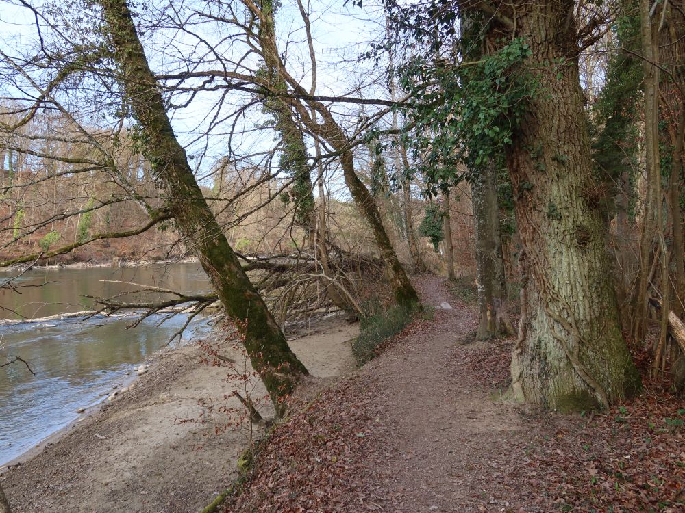 Pfad an der Reuss
