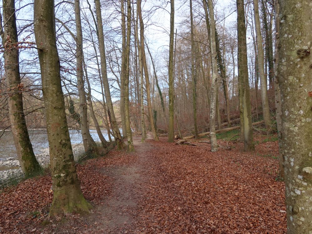 Pfad an der Reuss