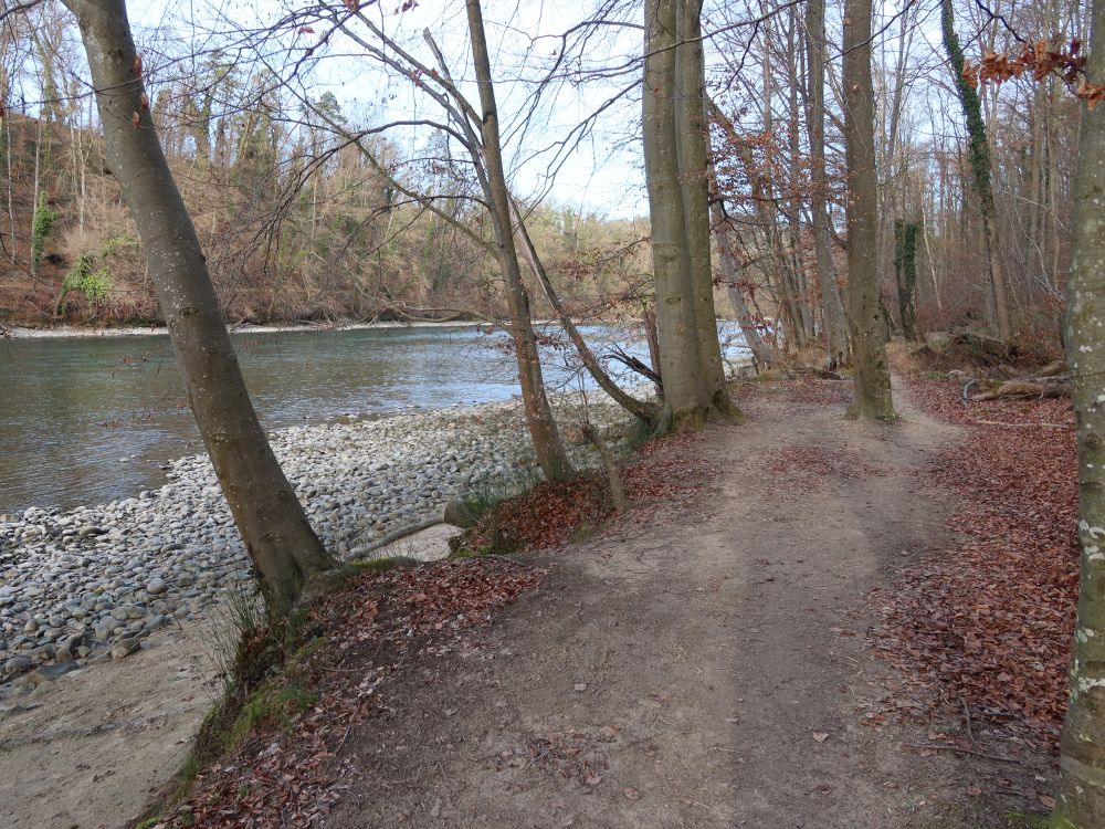 Pfad an der Reuss