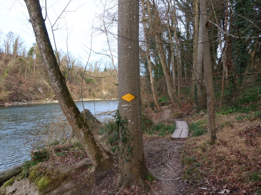 Pfad an der Reuss