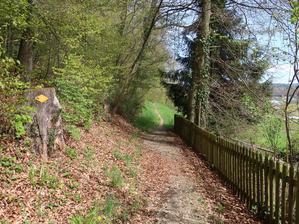 Pfad am Waldrand