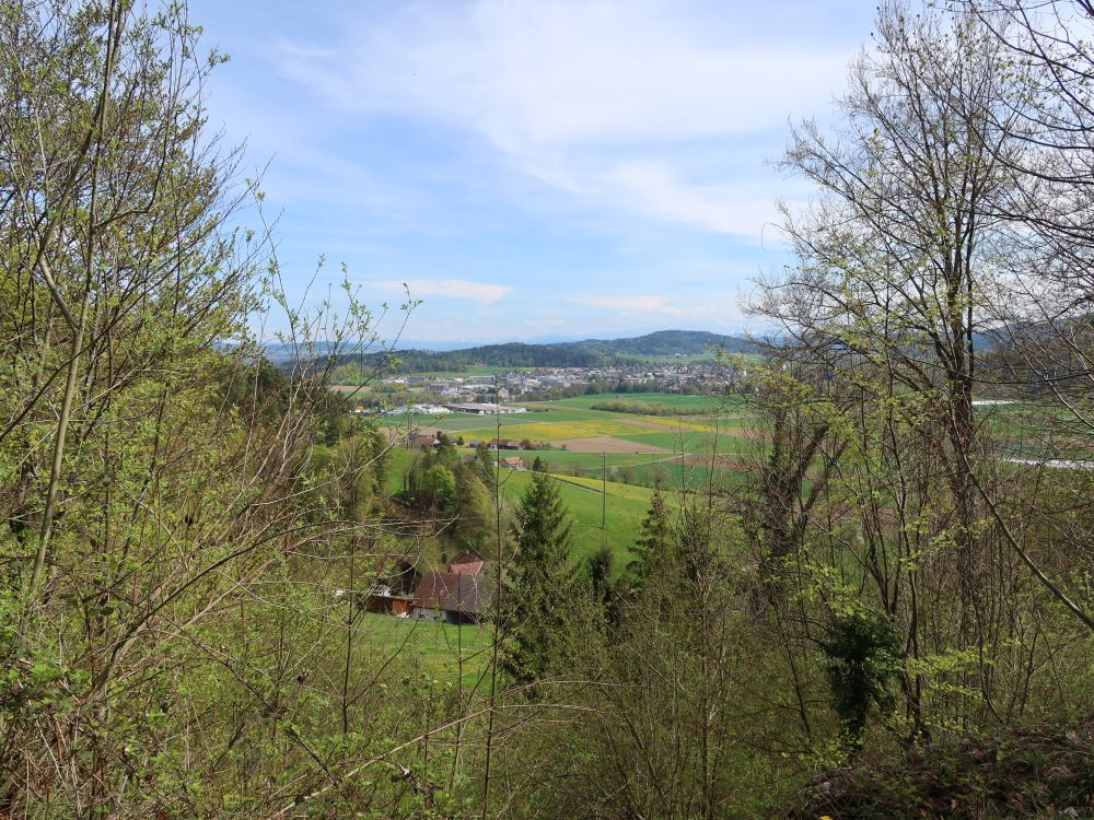 Blick Richtung Aadorf