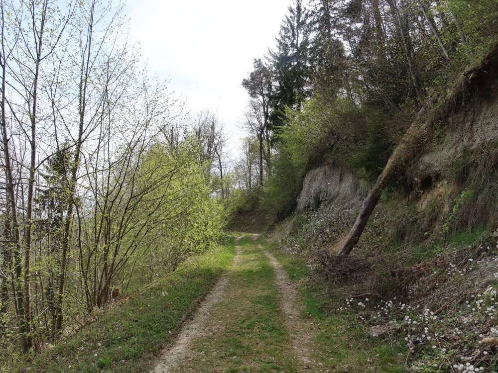 Weg am Berghang