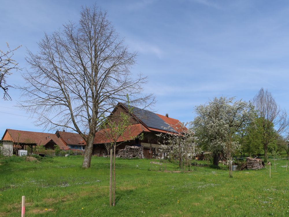 Schneitberg