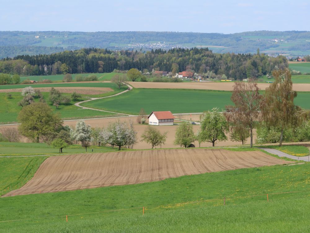 Schützenhaus