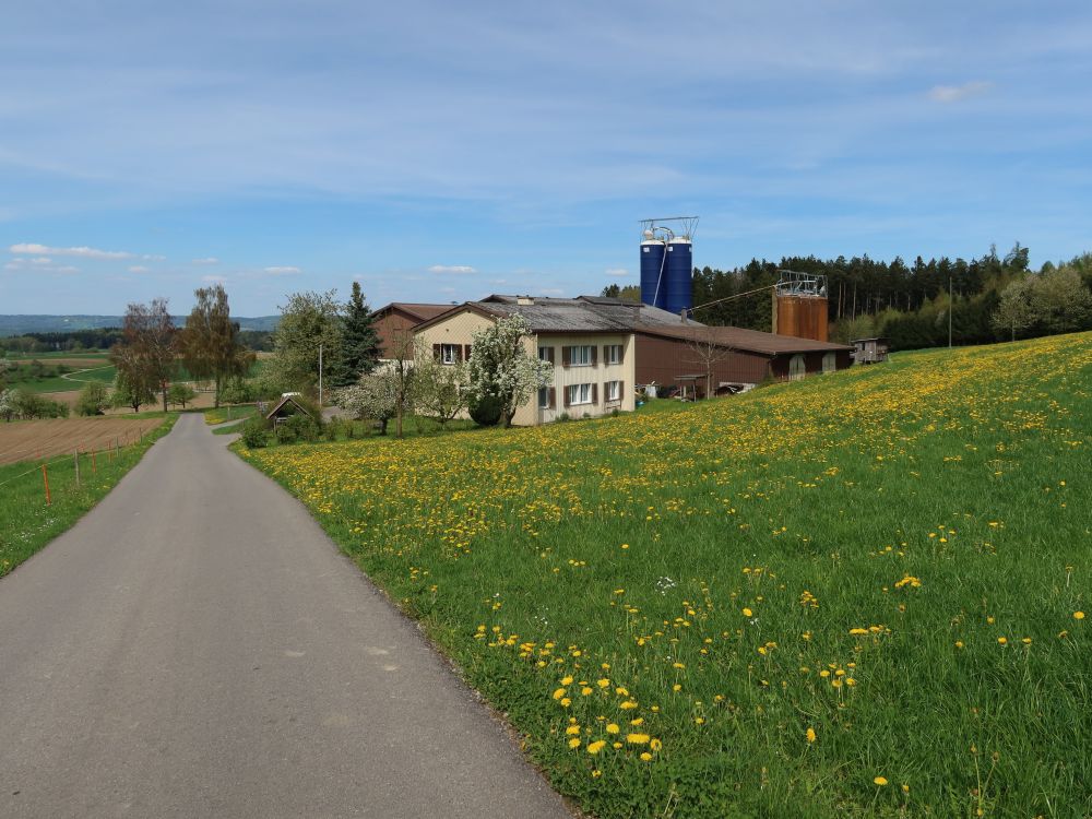 Bauernhof Langacker