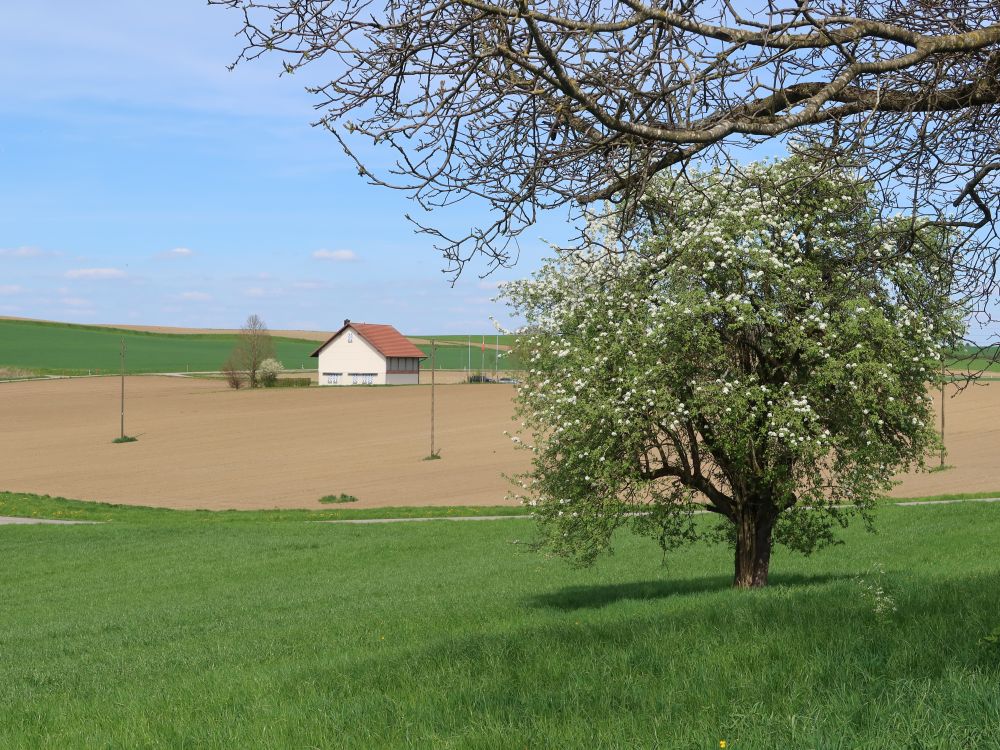 Schützenhaus