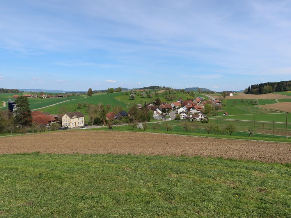 Oberschneit