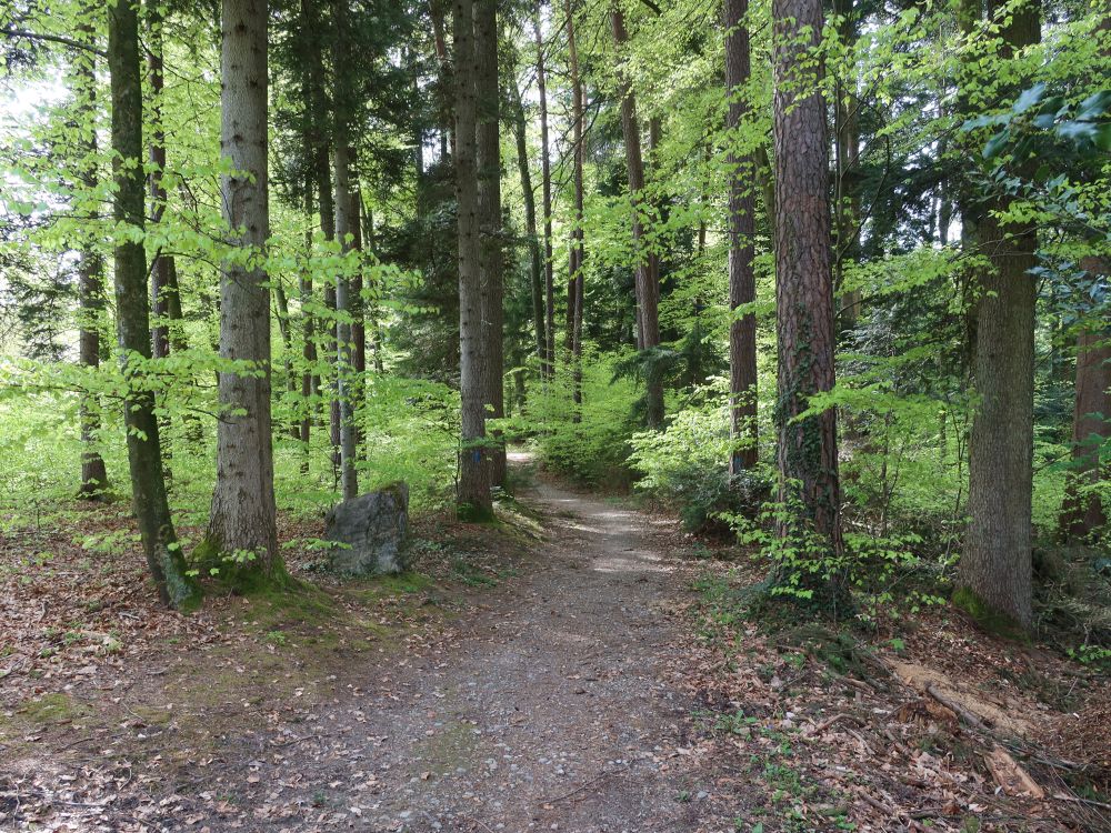 Grossholzweg