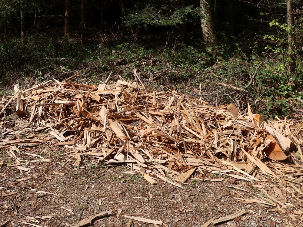 Holzsplitter