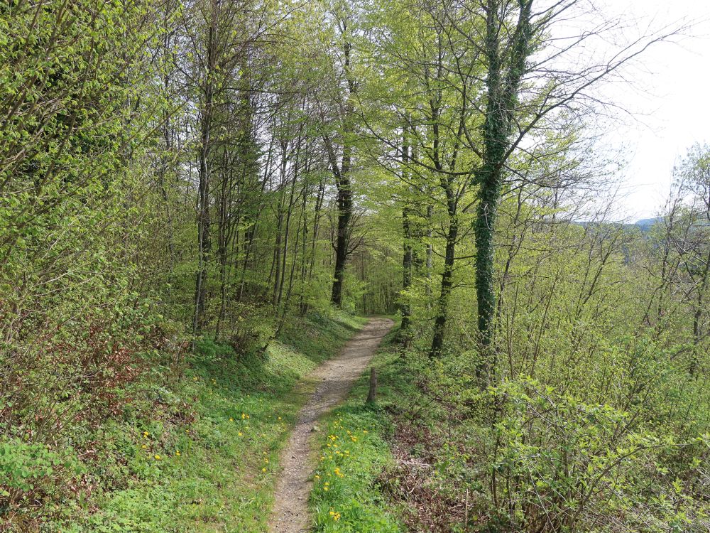 Züniker Kirchweg