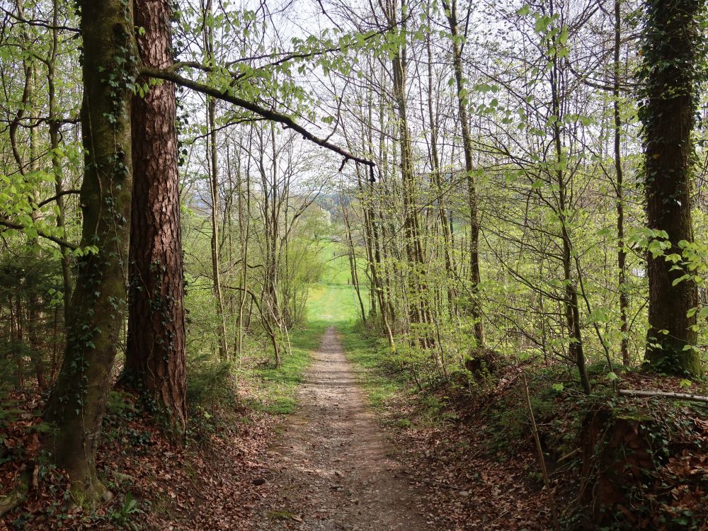 Züniker Kirchweg