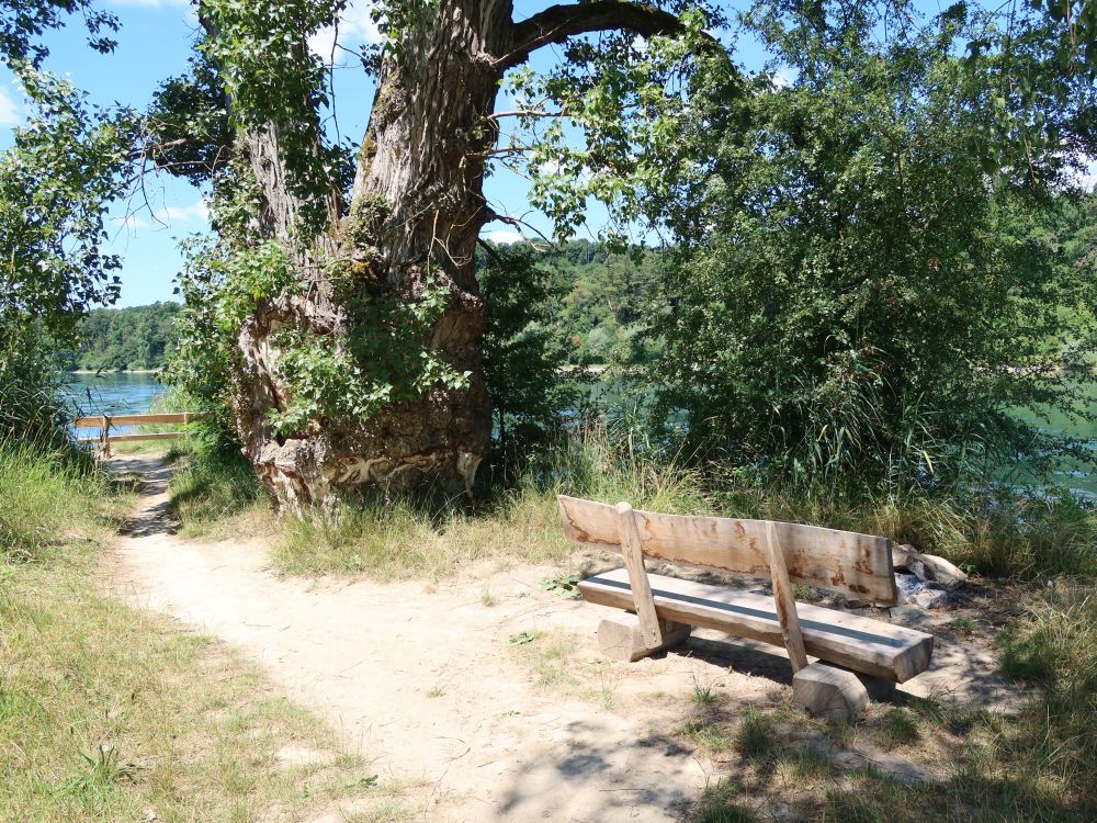 Sitzbänke am Thurspitz