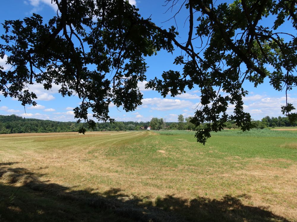Blick Richtung Ellikon