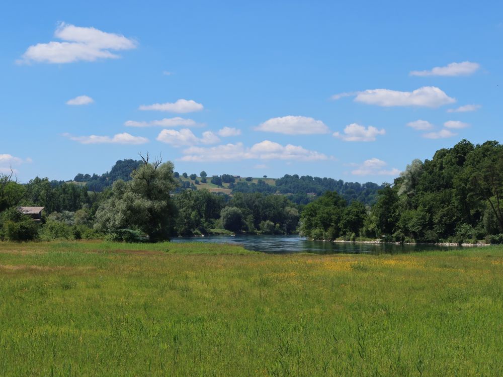 Rhein mit Thurmündung