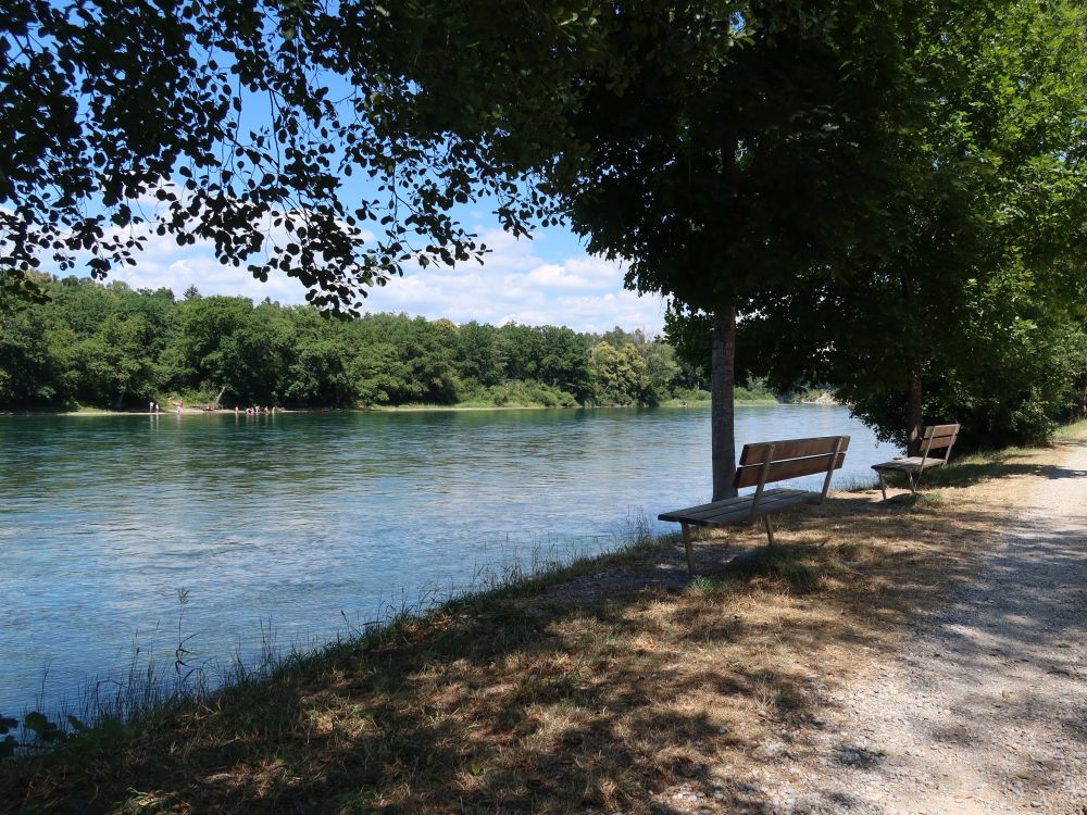 Sitzbänke am Rhein