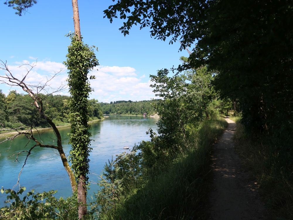 Pfad überm Rhein