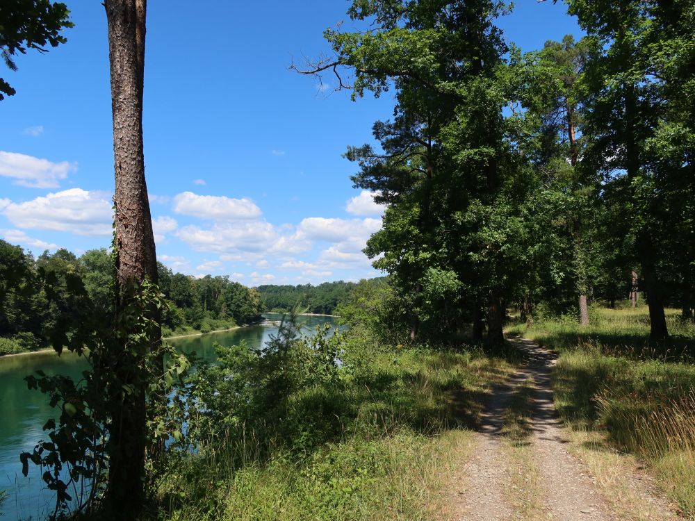 Pfad überm Rhein