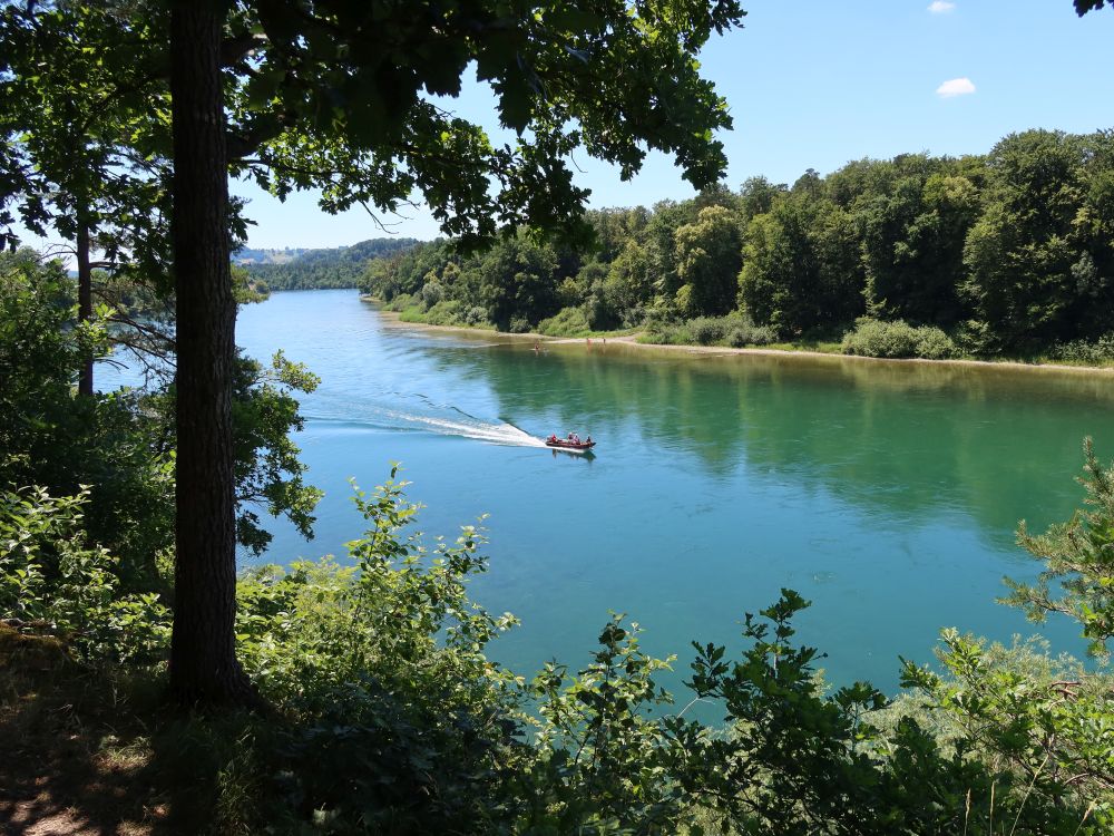 Motorboot auf dem Rhein