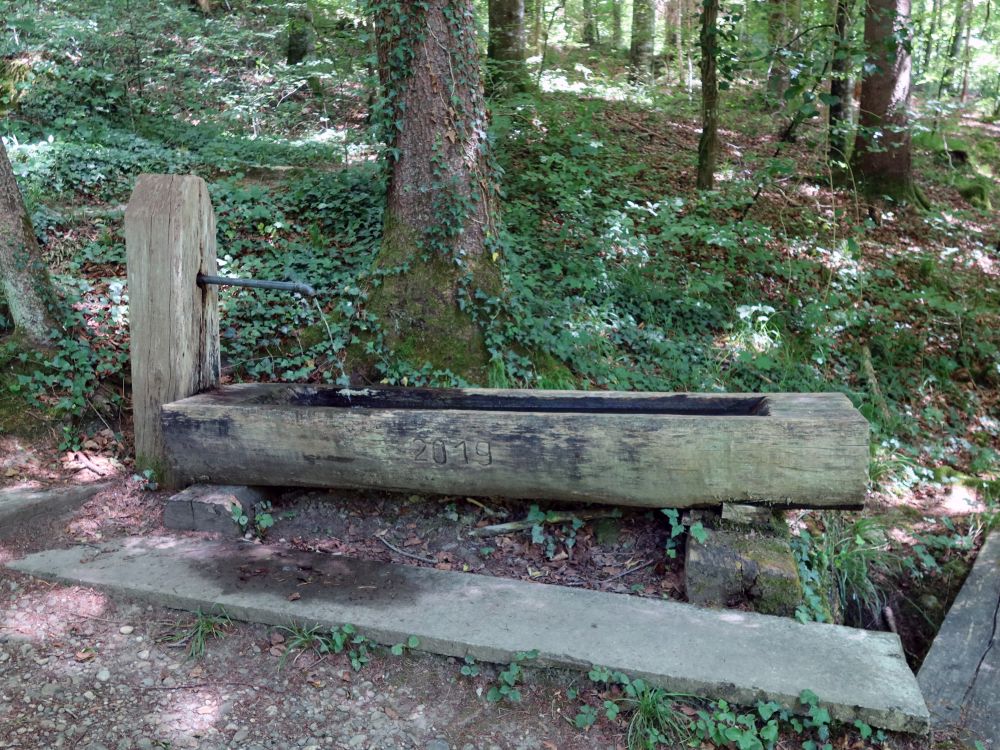 Brunnen