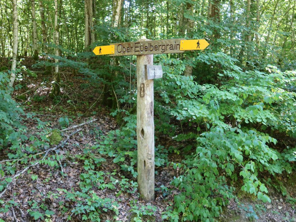 Wanderwegweiser