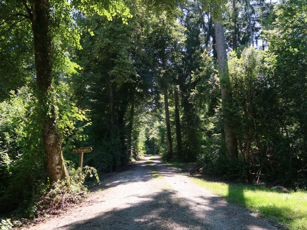 Waldweg