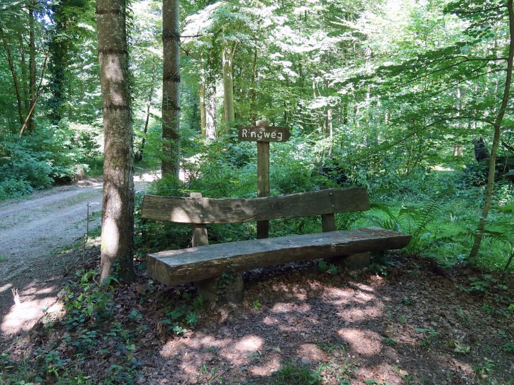 Sitzbank am Ringweg