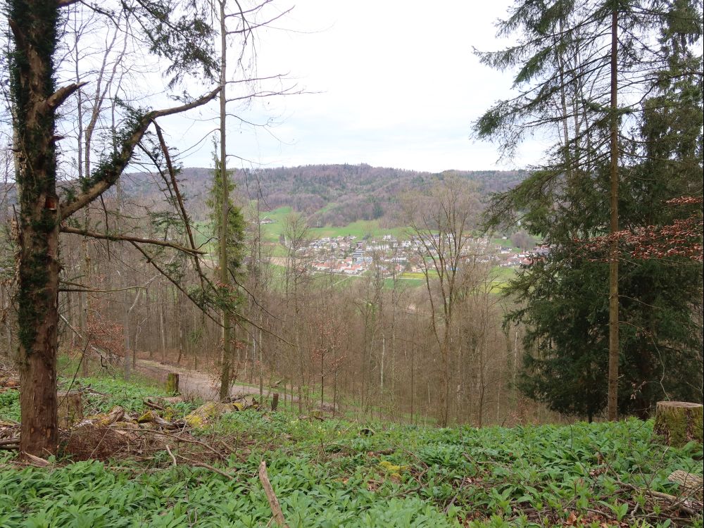 Blick Richtung Dättlikon