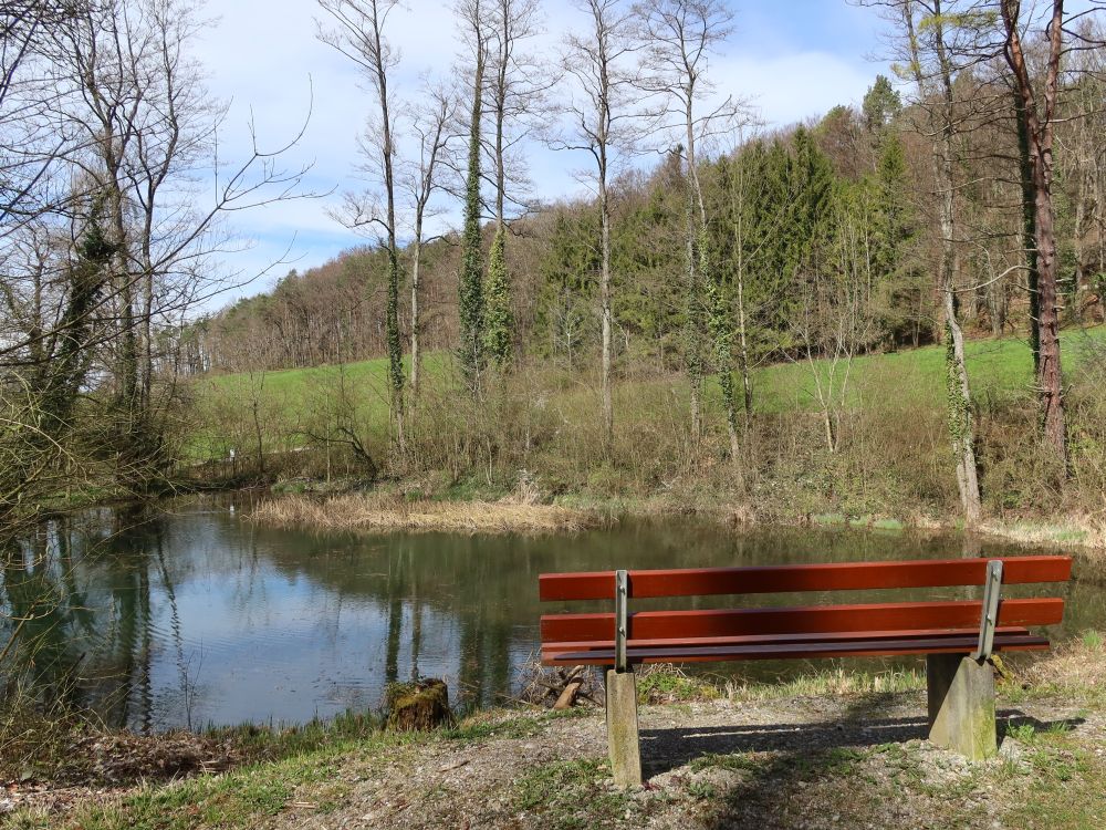 Sitzbank am Teich