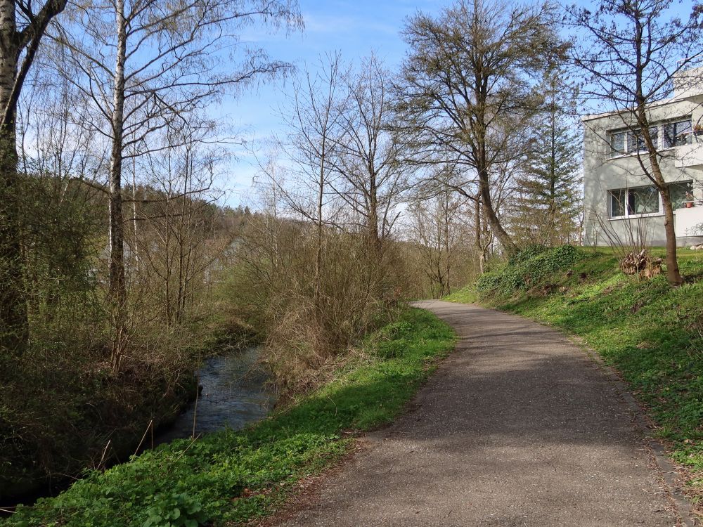 Riedweg am Wildbach