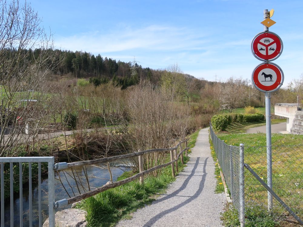 Riedweg am Wildbach